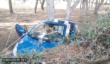 Ебу Галю на даче